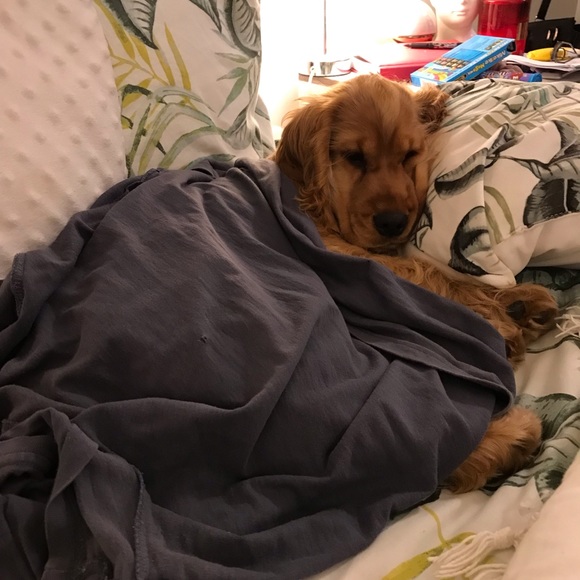 Meet your Posher, Brianna - Picture 1 of 1